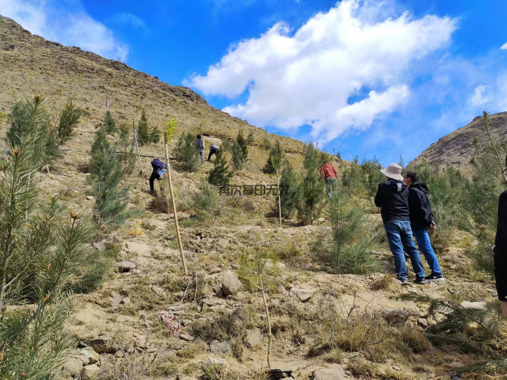 西藏嘉棟工程，與你共繪六一歡樂(lè)時(shí)光